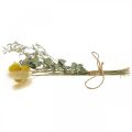 Floristik24 Mini ramo de flores secas boho, floristería flores secas L22cm