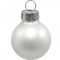 Floristik24 Mini bolas navideñas cristal blanco brillo/mate Ø2,5cm 24p