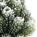 Floristik24 Mini árbol de Navidad en maceta con nieve artificial Ø14cm H24cm