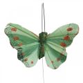 Floristik24 Mini mariposa en alambre rojo, verde 6,5cm 12uds
