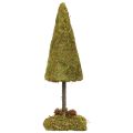 Mini árbol de Navidad decoración de mesa árbol de musgo Al. 30,5 cm