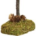 Mini árbol de Navidad decoración de mesa árbol de musgo Al. 30,5 cm