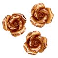 Floristik24 Mini rosas cobre 4cm 8pcs
