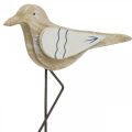 Floristik24 Gaviota de madera, decoración marítima, pájaro costero Shabby Chic, azul y blanco Al. 25 cm