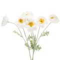 Floristik24 Amapola artificial, blanca, tallo largo, 78 cm, 3 unidades