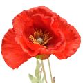 Floristik24 Flor de jardín decorativa amapola con 3 flores roja L 70 cm