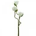 Floristik24 Flor artificial Amapola artificial Rosa blanca L55/60/70cm Juego de 3