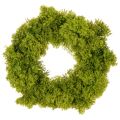 Floristik24 Corona de musgo artificial, decorativa para mesa o puerta, 28 cm.