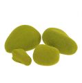 Floristik24 Mezcla de piedras de musgo verde 5.5-13cm 12pcs