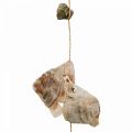 Floristik24 Guirnalda de conchas con piedras naturaleza 100cm