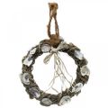 Floristik24 Corona de conchas, corona decorativa madera de vid, conchas naturales Ø30cm