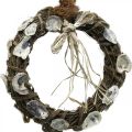 Floristik24 Corona de conchas, corona decorativa madera de vid, conchas naturales Ø30cm