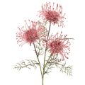 Floristik24 Alfiletero de flores artificiales, rama de protea en flor de 65 cm, 3 unidades