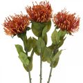 Acerico Flor Artificial Exótica Naranja Leucospermum Protea 73cm 3pcs