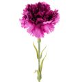 Floristik24 Clavel artificial, bicolor, tallo largo de 56 cm, ramo de 8 unidades.
