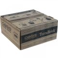 Floristik24 OASIS® TerraBrick™ compuesto enchufable compostable 8 piezas