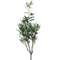Floristik24 Rama de olivo rama decorativa artificial decoración de olivo 84cm