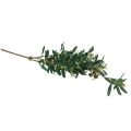 Floristik24 Rama de olivo rama decorativa artificial decoración de olivo 84cm