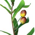 Floristik24 Rama de olivo rama decorativa de olivo artificial 45cm