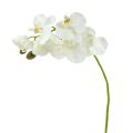 Floristik24 Orquídea blanca artificial L73cm 4pcs