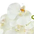 Floristik24 Orquídea blanca artificial L73cm 4pcs