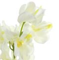 Floristik24 Crema de orquídeas artificiales 50cm 6pcs