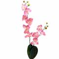Floristik24 Orquídea Phalaenopsis artificial rosa 60cm