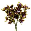 Floristik24 Orquídea Cymbidium Verde, Morado L38cm 4pcs