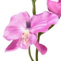 Floristik24 Orquídea Phalaenopsis artificial 6 flores violeta 70cm
