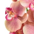 Floristik24 Orquídea Phalaenopsis artificial 9 flores rosa vainilla 96cm