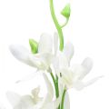 Floristik24 Orquídeas artificiales Oncidium flores artificiales blancas 90cm