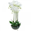Floristik24 Orquideas artificiales en maceta planta artificial blanca 63cm
