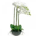 Floristik24 Orquideas artificiales en maceta planta artificial blanca 63cm