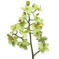 Floristik24 Orquídea 56cm verde claro