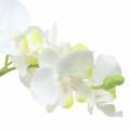 Floristik24 Orquídeas blancas en maceta planta artificial Al35cm