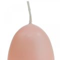 Floristik24 Velas de Pascua forma de huevo, velas de huevo Pascua Melocotón Ø4.5cm H6cm 6pcs