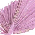 Floristik24 Palmspear Mix Pink Berry, floristería conmemorativa lavada en blanco, 65 piezas