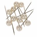 Floristik24 Alfileres cabeza perla champagne Ø15mm 75mm