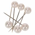 Floristik24 Alfileres cabeza perla champagne Ø20mm 90mm