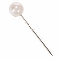 Alfileres cabeza perla champagne Ø20mm 90mm | Floristik24.es