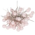 Floristik24 Alfileres Cabeza De Perla Rosa Ø10mm 60mm