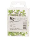 Alfileres de floristería con cabeza de perla verde, de uso versátil, Ø4 mm, 40 mm, 150 unidades. | Floristik24.es