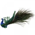 Floristik24 Ave del paraíso, pavo real para sujetar, pájaro de plumas, decoración de pájaros azul, verde, colorido H8.5 L29cm