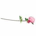 Floristik24 Peonía artificial con flor y capullo Rosa 68cm