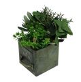 Floristik24 Juego de 3 láminas de metal con cajón vegetal verde antiguo