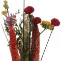 Floristik24 Ramo de flores secas con flores de pradera rosa DIY set H30-35cm