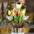 Floristik24 Tapones para plantas, tapones decorativos de pollo coloridos, gallina de madera, decoración de Pascua, 14 piezas