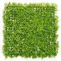 Floristik24 Tapete de plantas artificiales de boj de 55x55 cm para decoración de paredes.