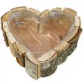 Floristik24 Jardinera, cuenco de madera en forma de corazón, jardinera de madera de abedul, cuenco de corazón 27 × 28cm