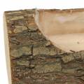 Floristik24 Macetero madera de olmo 20cm x 11cm H9cm